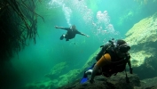 Riviera Maya. ¡Tanto por descubrir! 