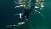 Riviera Maya. ¡Tanto por descubrir! 