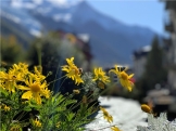 La Suiza Francófona. 