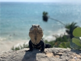 Oceanman final Cancun 2.020.