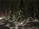 Fin de año en Helsinki y Laponia II. En busca de las Auroras Boreales 