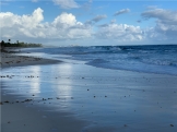 Rep. Dominicana. Punta Cana.