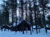 Fin de año en Helsinki y Laponia II. En busca de las Auroras Boreales 