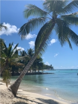 Rep. Dominicana. Punta Cana.