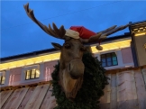 Oslo con niños. Mercadillos Navideños. 16 años después. 