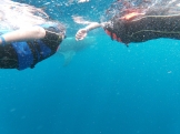Riviera Maya. ¡Tanto por descubrir! 