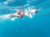 Riviera Maya. ¡Tanto por descubrir! 