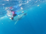 Riviera Maya. ¡Tanto por descubrir! 