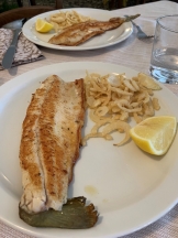 Alpes Italianos y Lombardía. 
