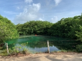 Riviera Maya. ¡Tanto por descubrir! 