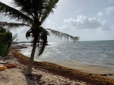 Riviera Maya. ¡Tanto por descubrir! 