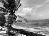 Riviera Maya. ¡Tanto por descubrir! 