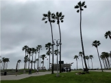 Venice Beach