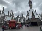 Zona Harry Potter