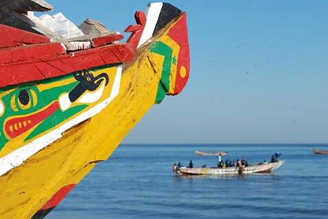 Senegal al completo