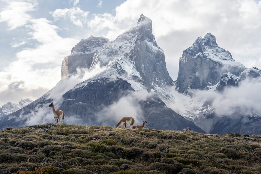 Andes Ecuatoriales 2026