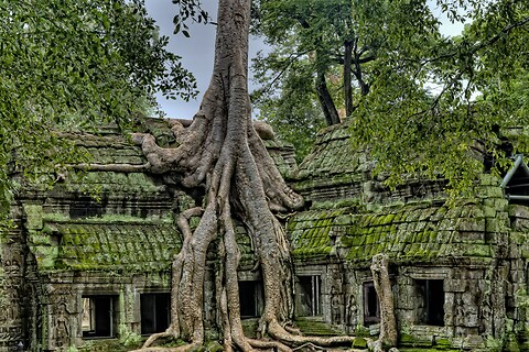 Colores de Camboya