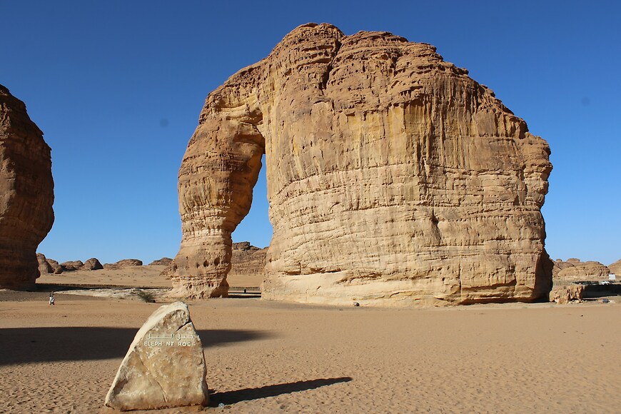 Experiencia en AlUla